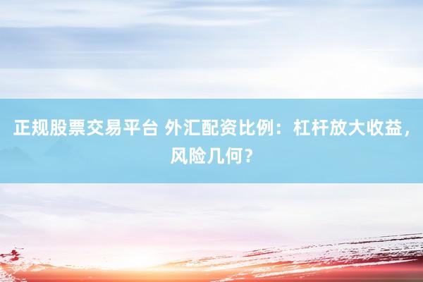 正规股票交易平台 外汇配资比例：杠杆放大收益，风险几何？