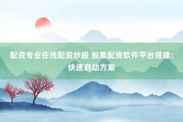 配资专业在线配资炒股 股票配资软件平台搭建：快速启动方案