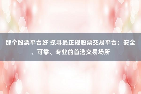 那个股票平台好 探寻最正规股票交易平台：安全、可靠、专业的首选交易场所