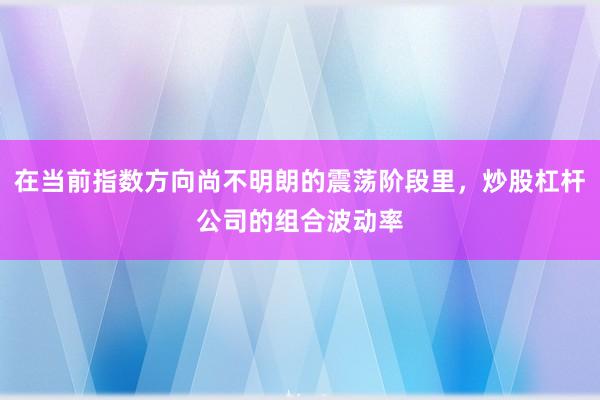 在当前指数方向尚不明朗的震荡阶段里，炒股杠杆公司的组合波动率