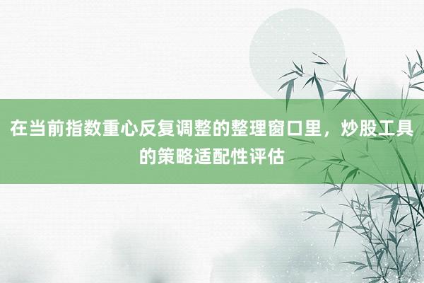 在当前指数重心反复调整的整理窗口里，炒股工具的策略适配性评估