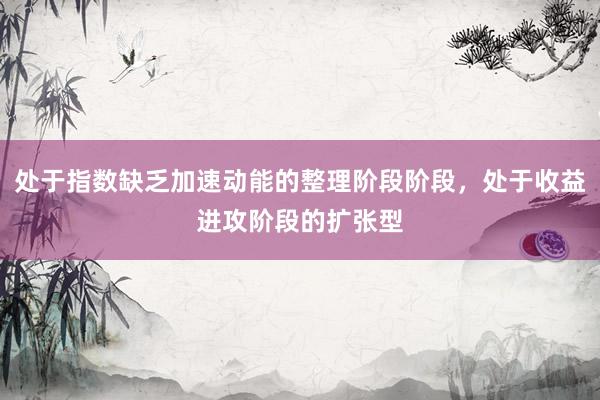 处于指数缺乏加速动能的整理阶段阶段，处于收益进攻阶段的扩张型