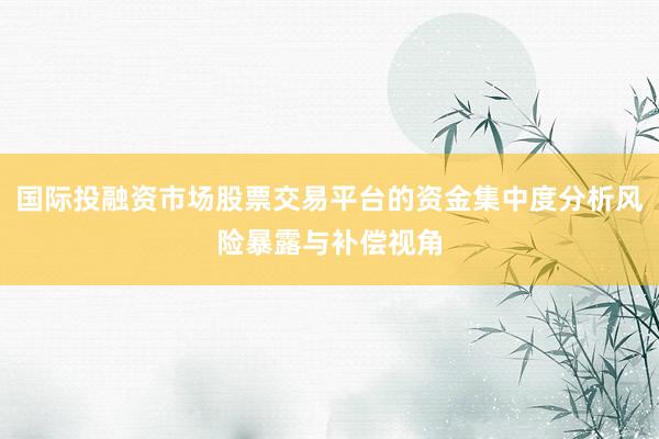国际投融资市场股票交易平台的资金集中度分析风险暴露与补偿视角