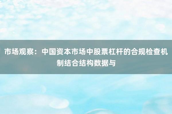 市场观察：中国资本市场中股票杠杆的合规检查机制结合结构数据与