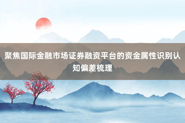 聚焦国际金融市场证券融资平台的资金属性识别认知偏差梳理