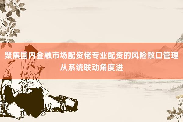 聚焦国内金融市场配资佬专业配资的风险敞口管理从系统联动角度进
