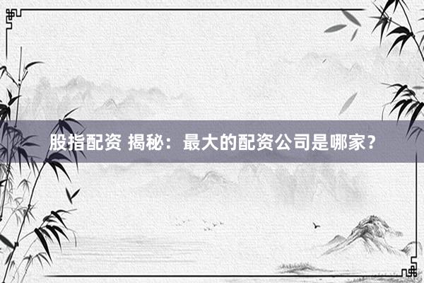 股指配资 揭秘：最大的配资公司是哪家？