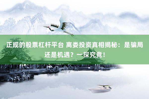 正规的股票杠杆平台 离娄投资真相揭秘：是骗局还是机遇？一探究竟！